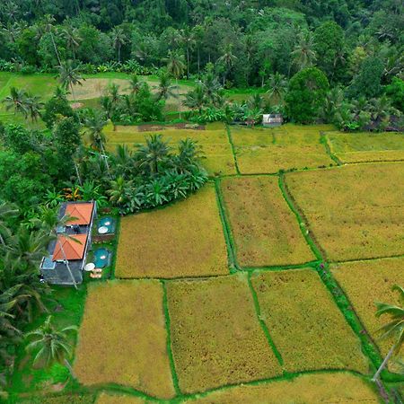 The Alus Cottage And Villa อูบุด ภายนอก รูปภาพ