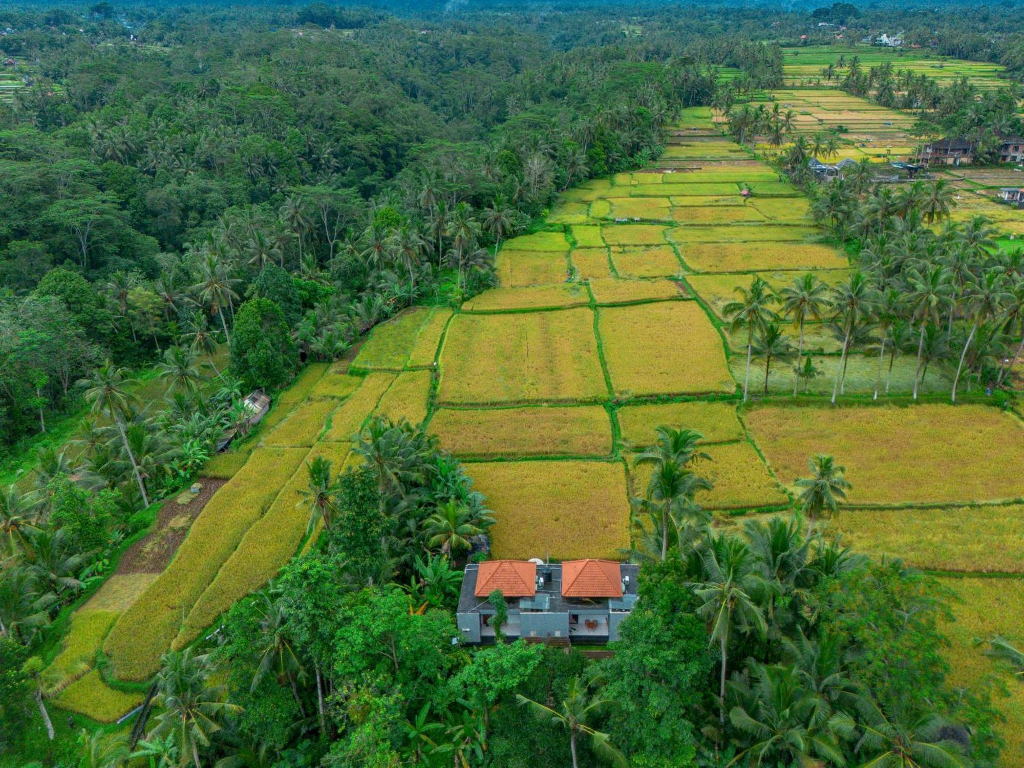 The Alus Cottage And Villa อูบุด ภายนอก รูปภาพ