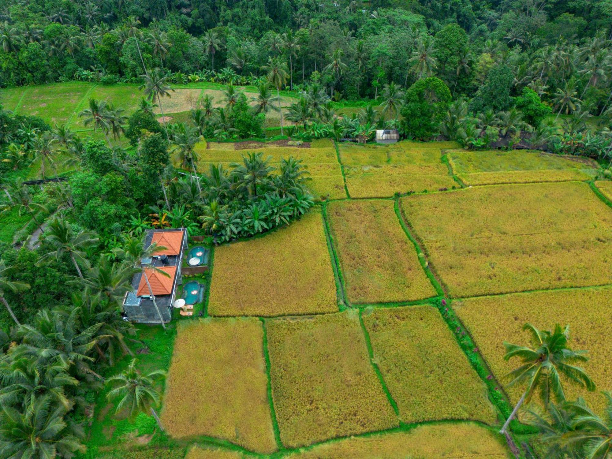 The Alus Cottage And Villa อูบุด ภายนอก รูปภาพ