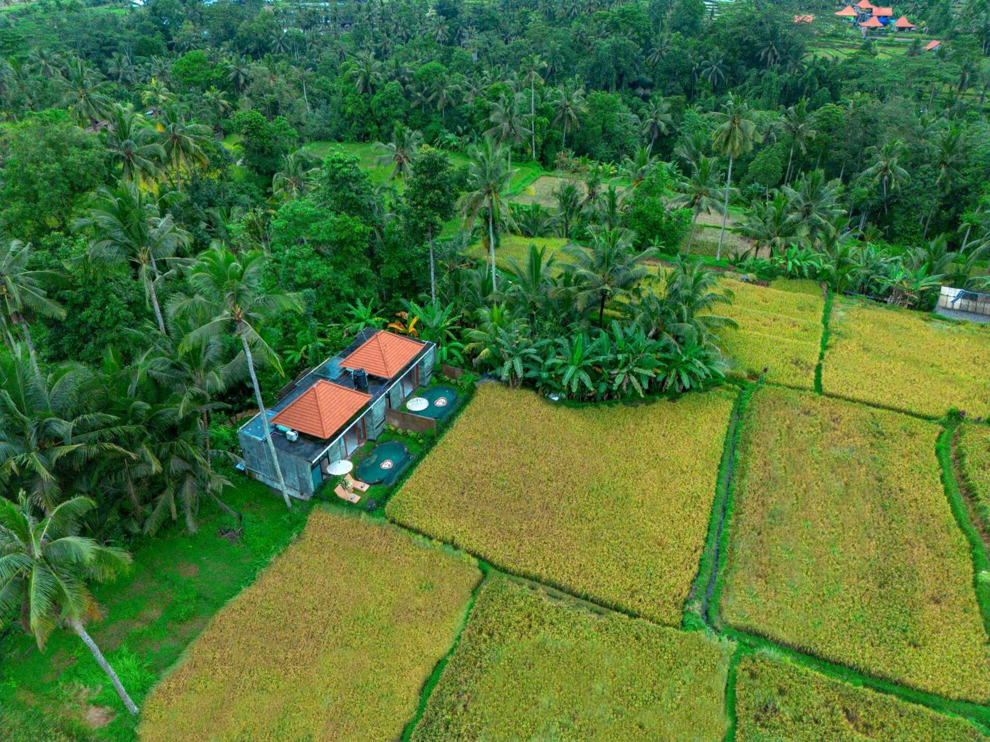 The Alus Cottage And Villa อูบุด ภายนอก รูปภาพ