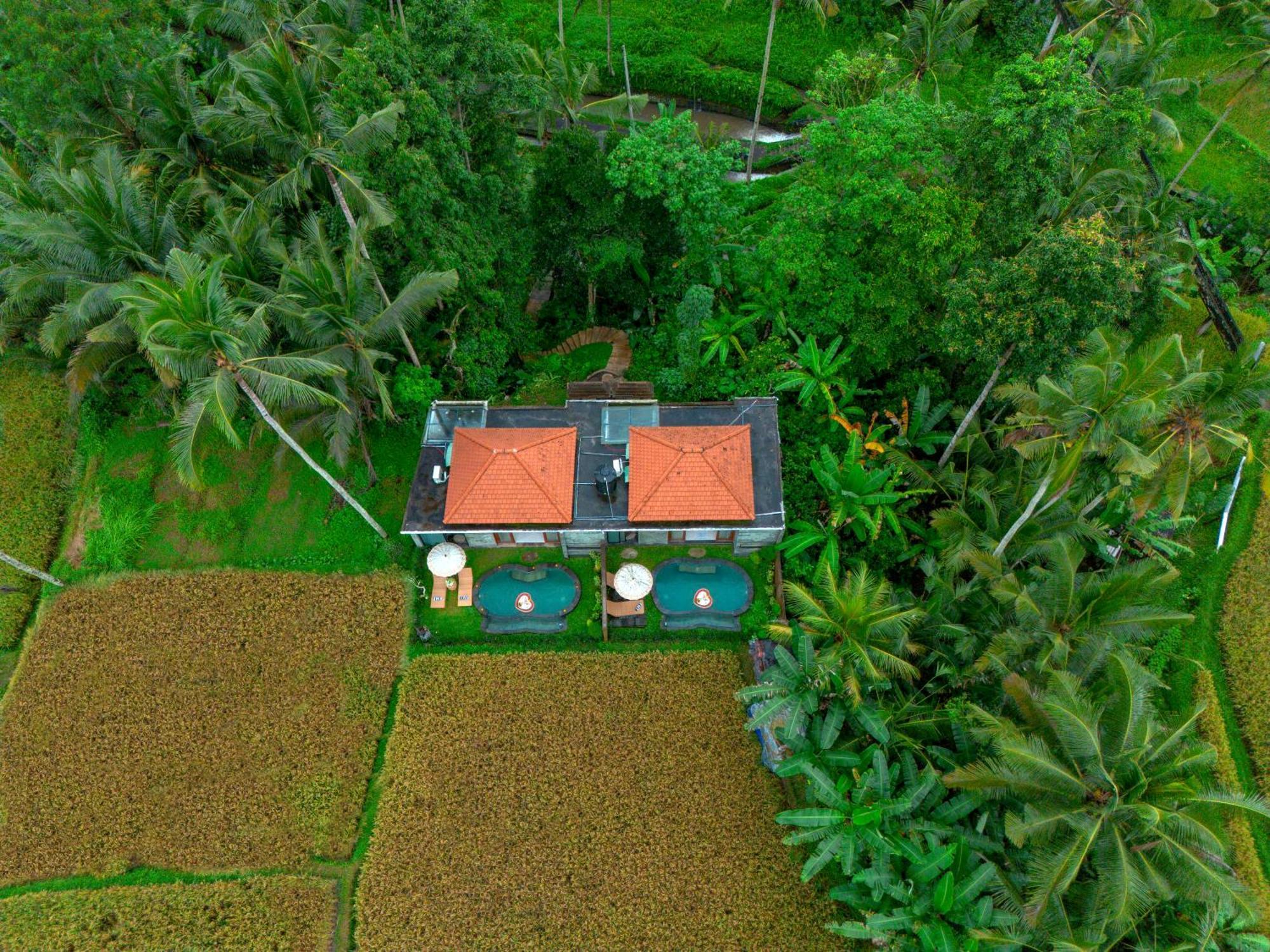 The Alus Cottage And Villa อูบุด ภายนอก รูปภาพ