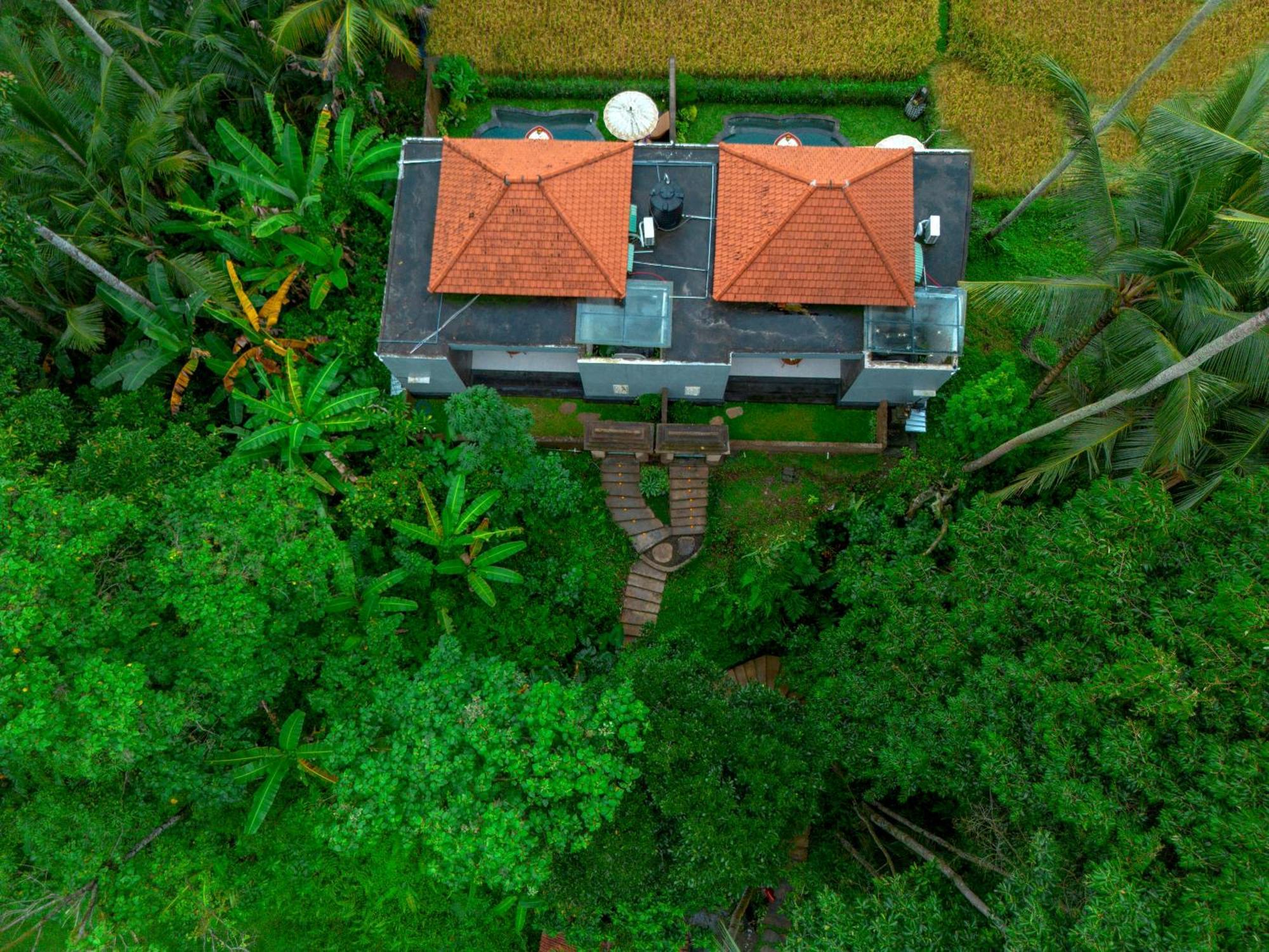 The Alus Cottage And Villa อูบุด ภายนอก รูปภาพ